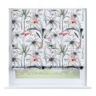 Изящные фламинго